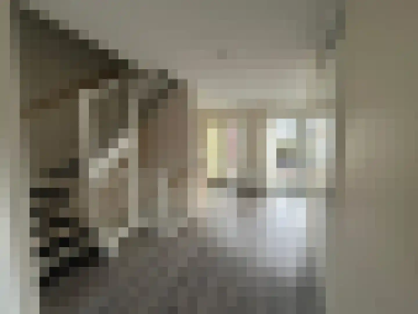 Deken Nijkampstraat 4 A Ulft thumbnail 6