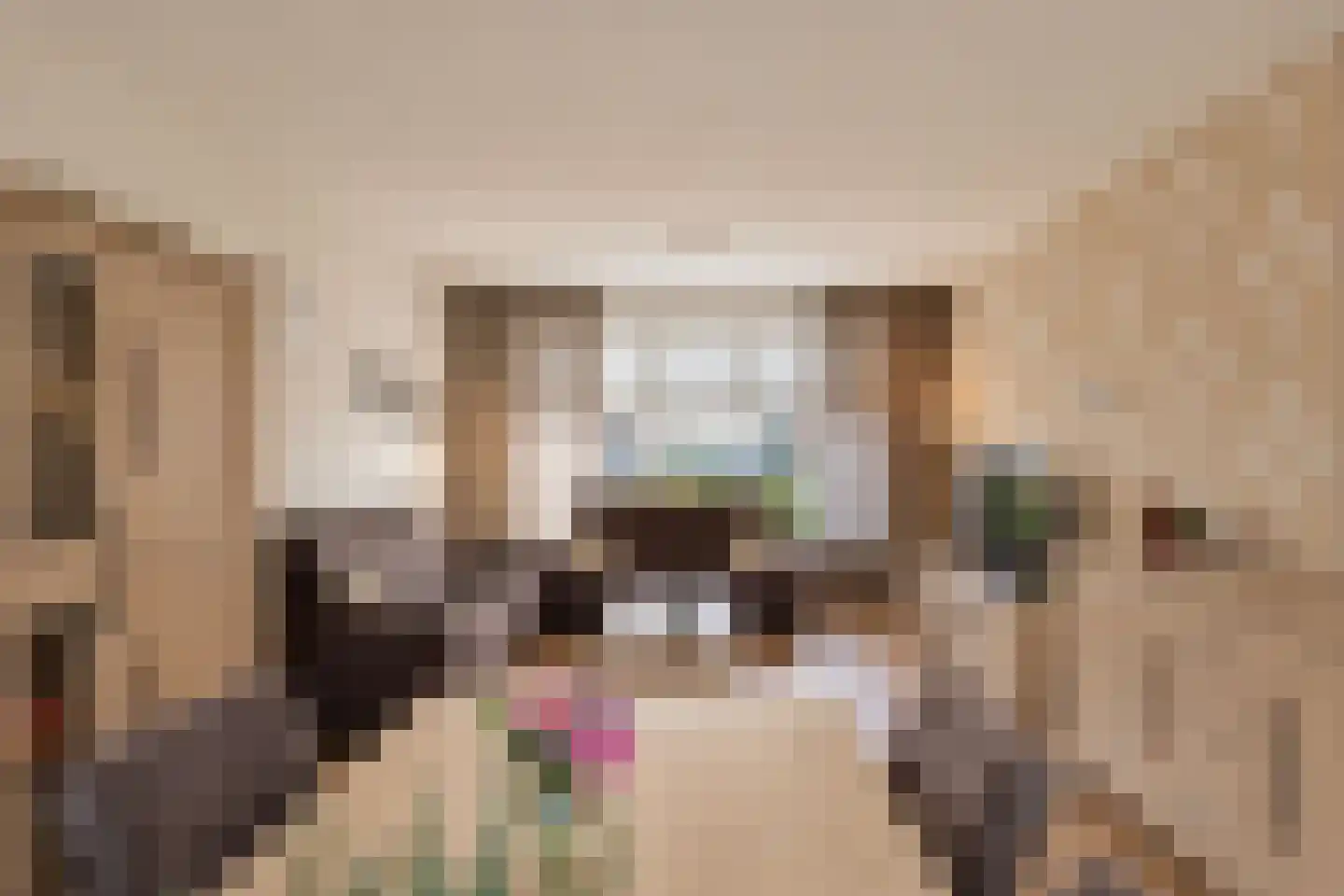 Deken Nijkampstraat 7 Ulft thumbnail 15
