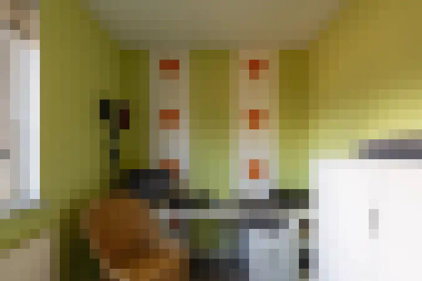 Deken Nijkampstraat 7 Ulft thumbnail 20
