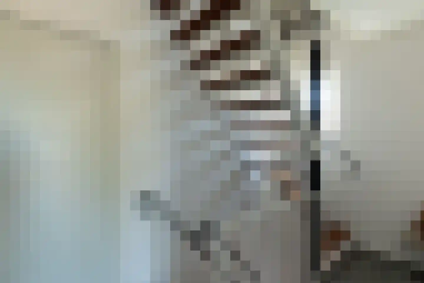 Deken Nijkampstraat 7 Ulft thumbnail 25