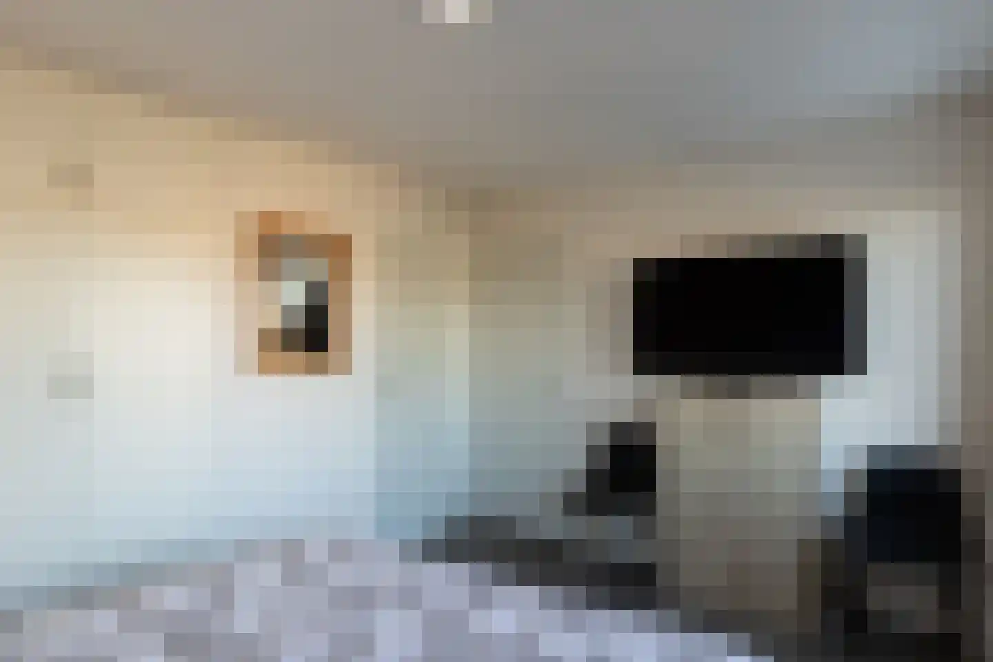 Deken Nijkampstraat 7 Ulft thumbnail 27