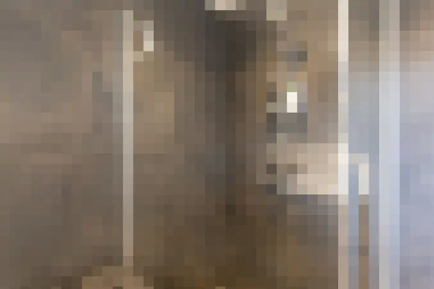 Deken Nijkampstraat 7 Ulft thumbnail 35
