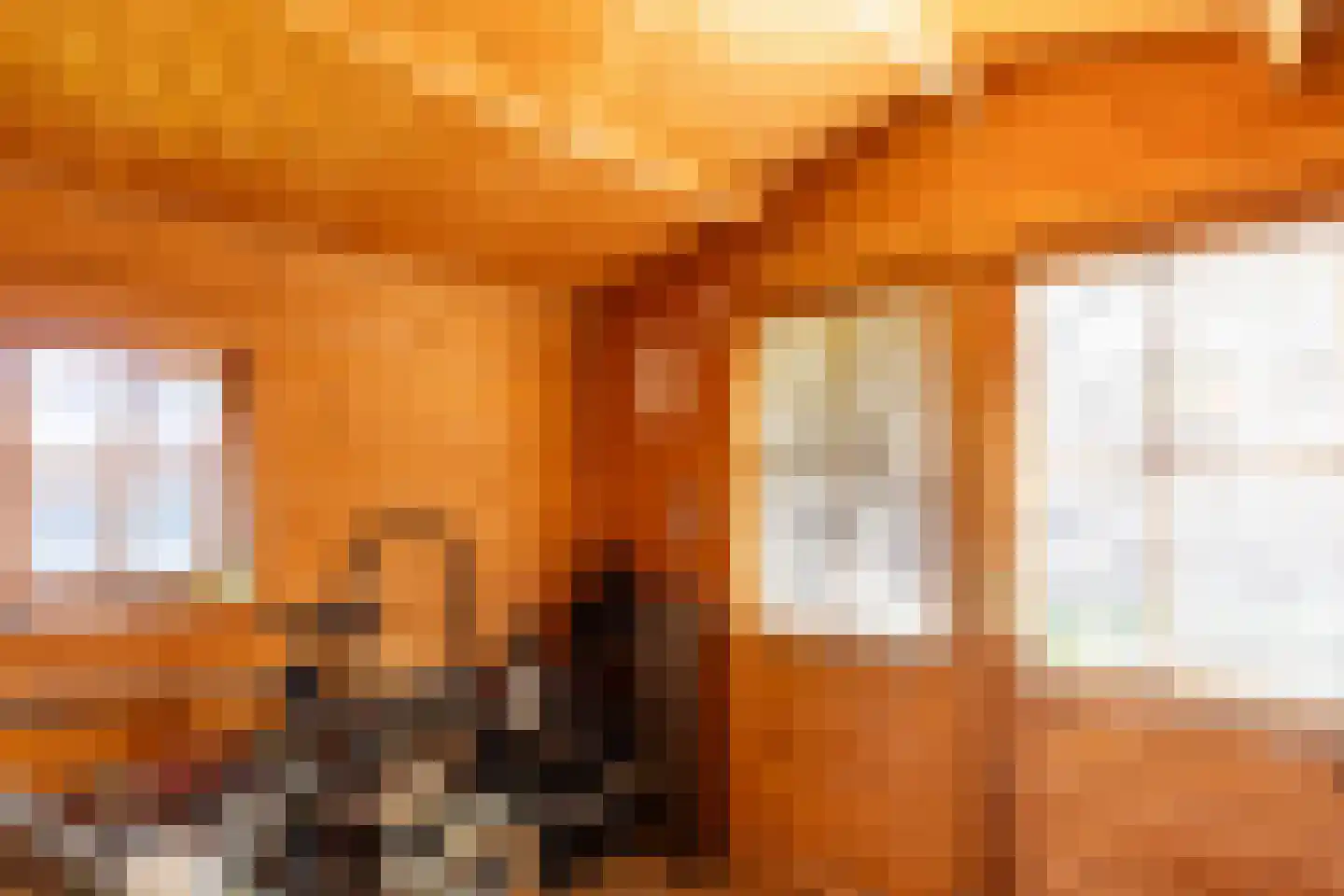 Deken Nijkampstraat 7 Ulft thumbnail 46