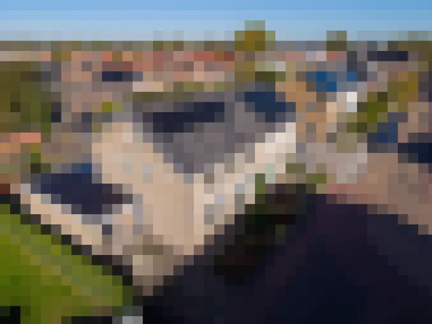 Deken Nijkampstraat 7 Ulft thumbnail 7