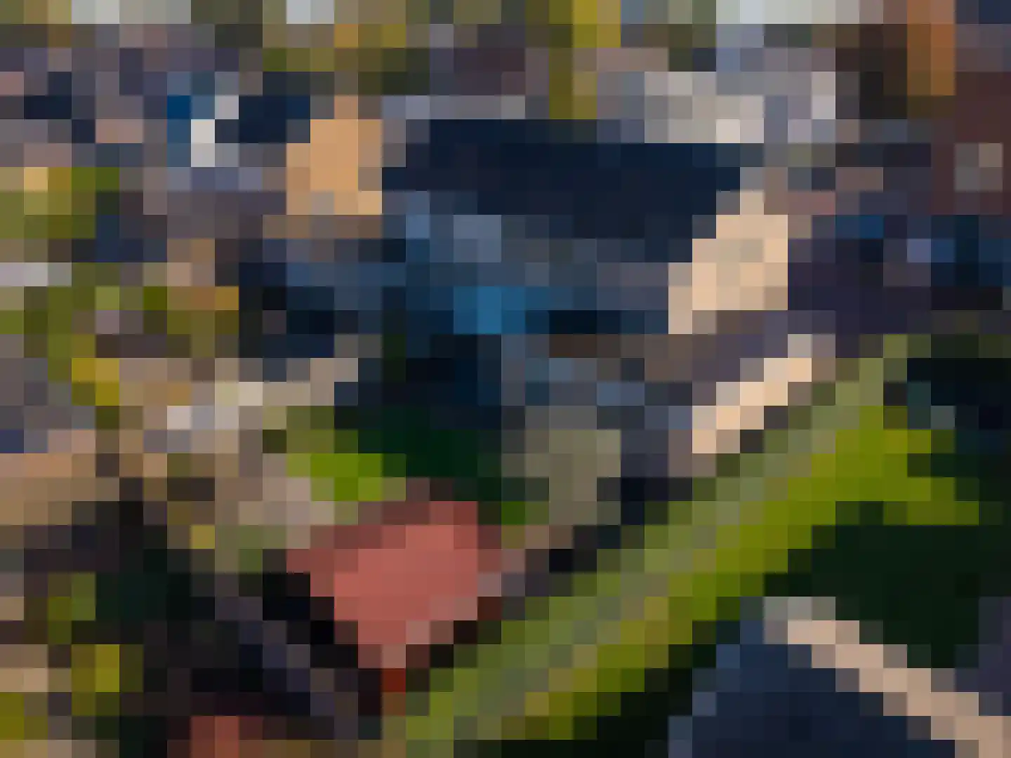 Deken Nijkampstraat 7 Ulft thumbnail 9