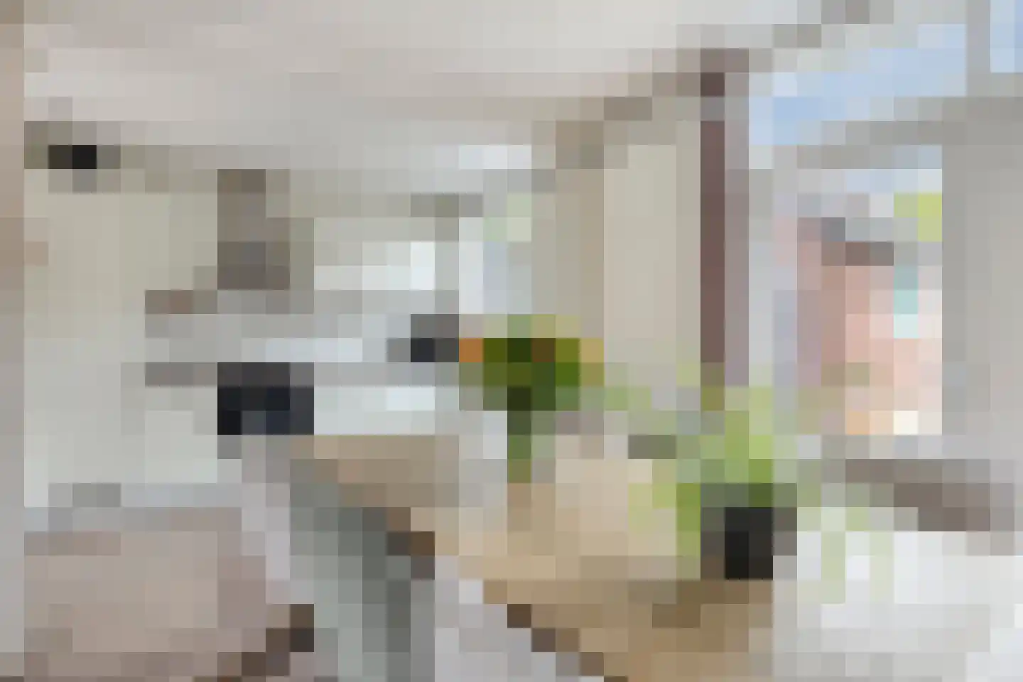 Deken Oomenstraat 7 Dongen thumbnail 11