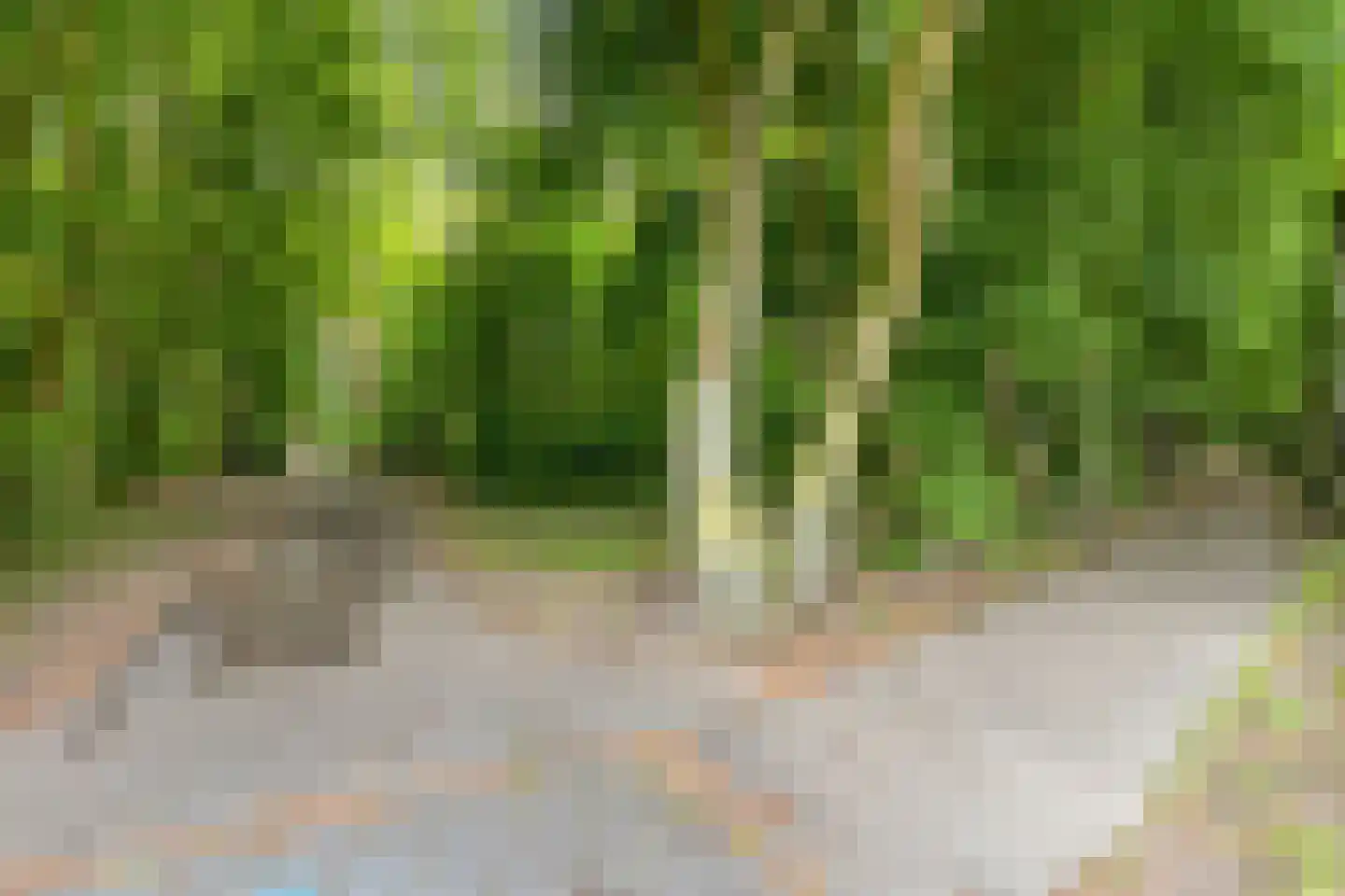Deken Oomenstraat 7 Dongen thumbnail 21