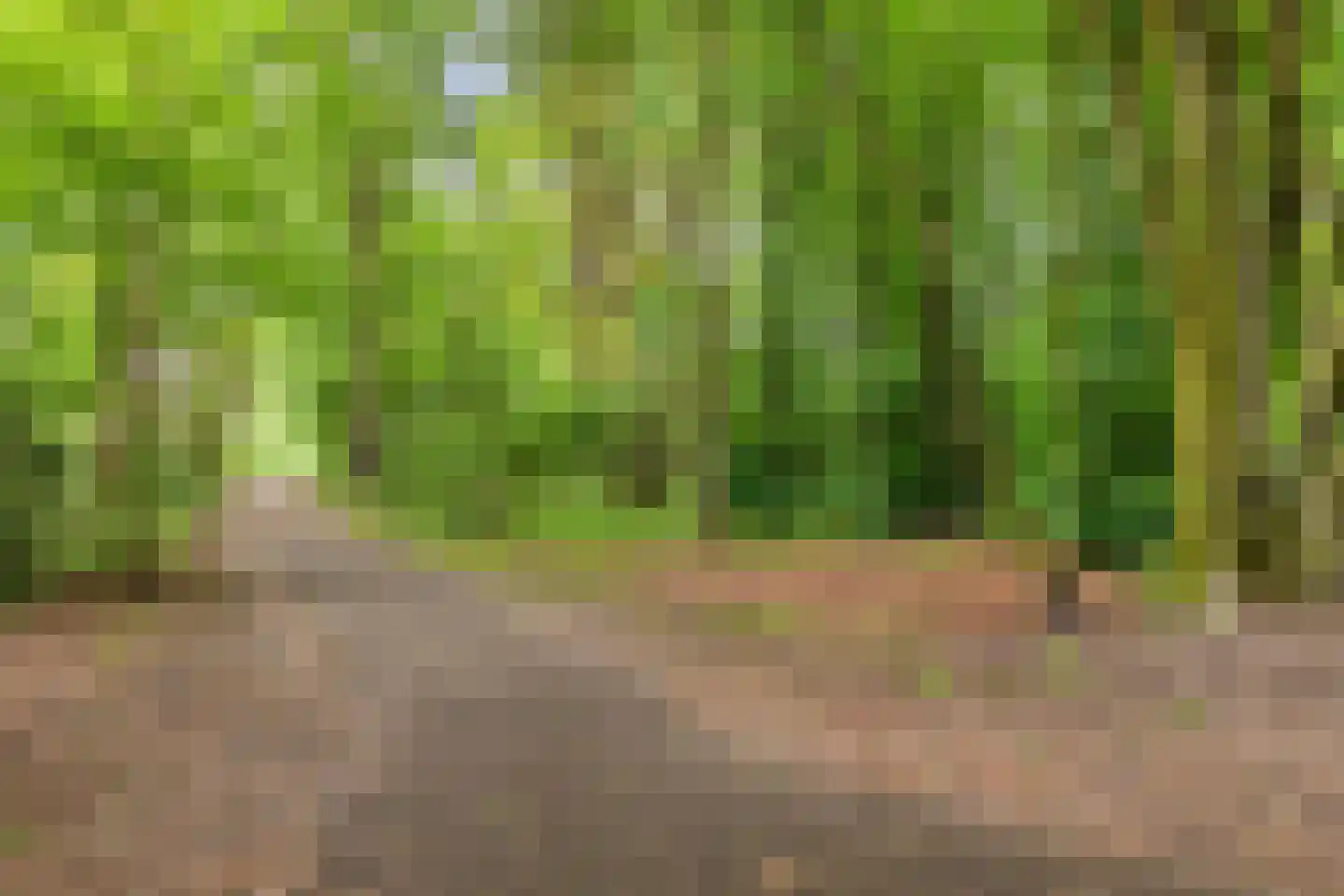 Deken Oomenstraat 7 Dongen thumbnail 22