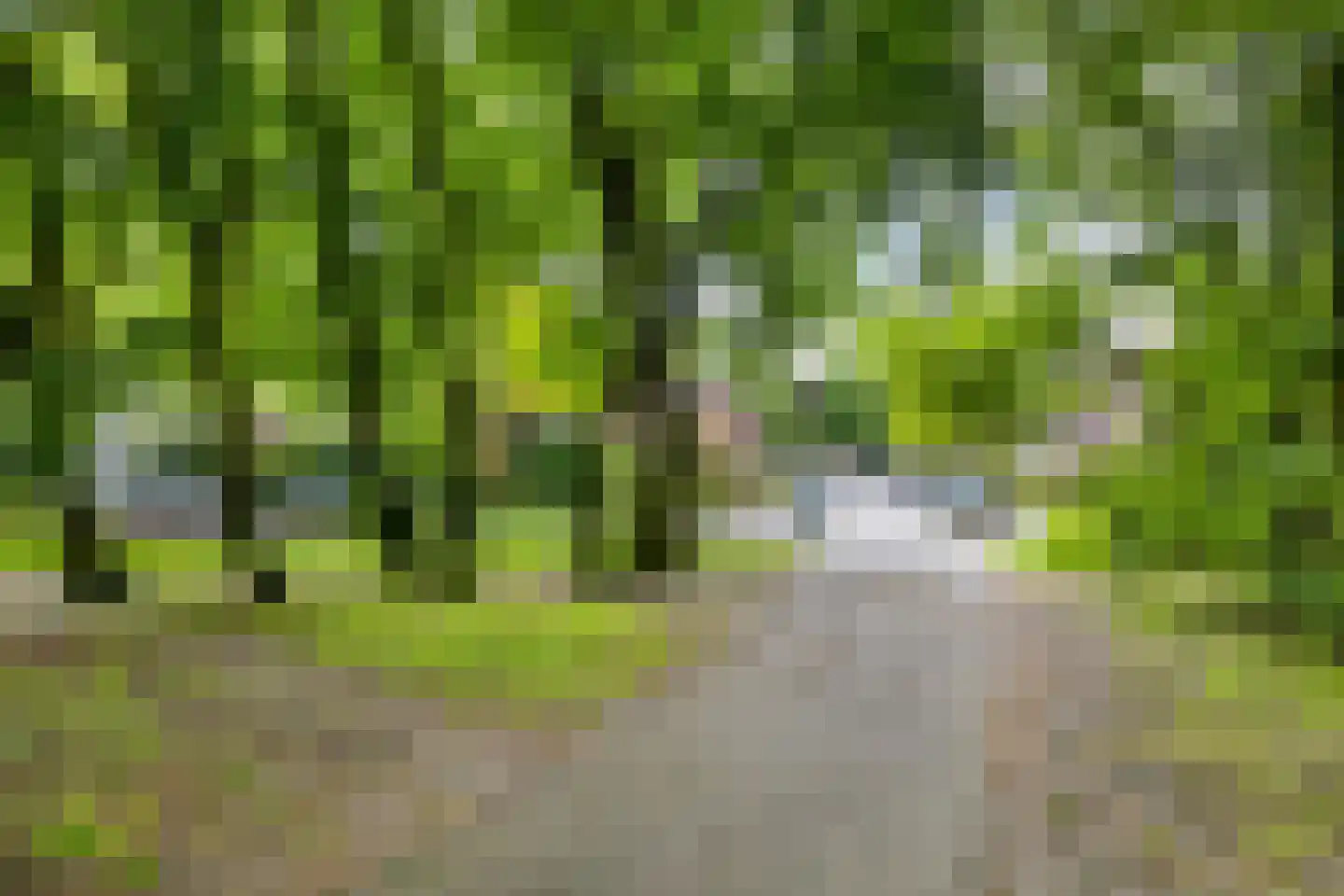 Deken Oomenstraat 7 Dongen thumbnail 23