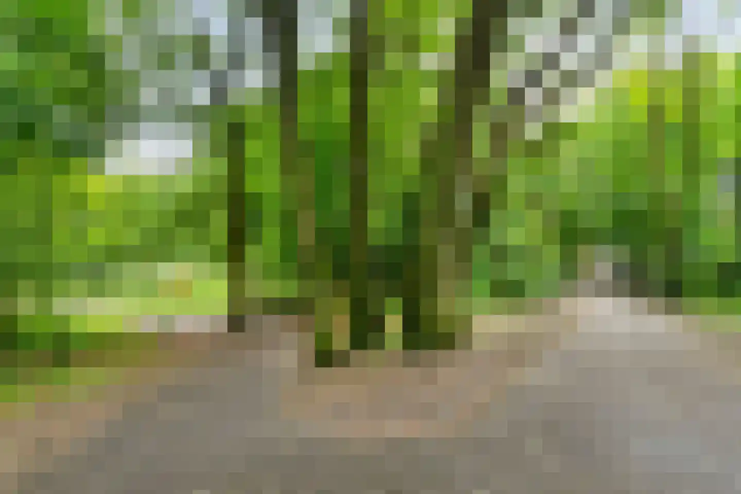 Deken Oomenstraat 7 Dongen thumbnail 24