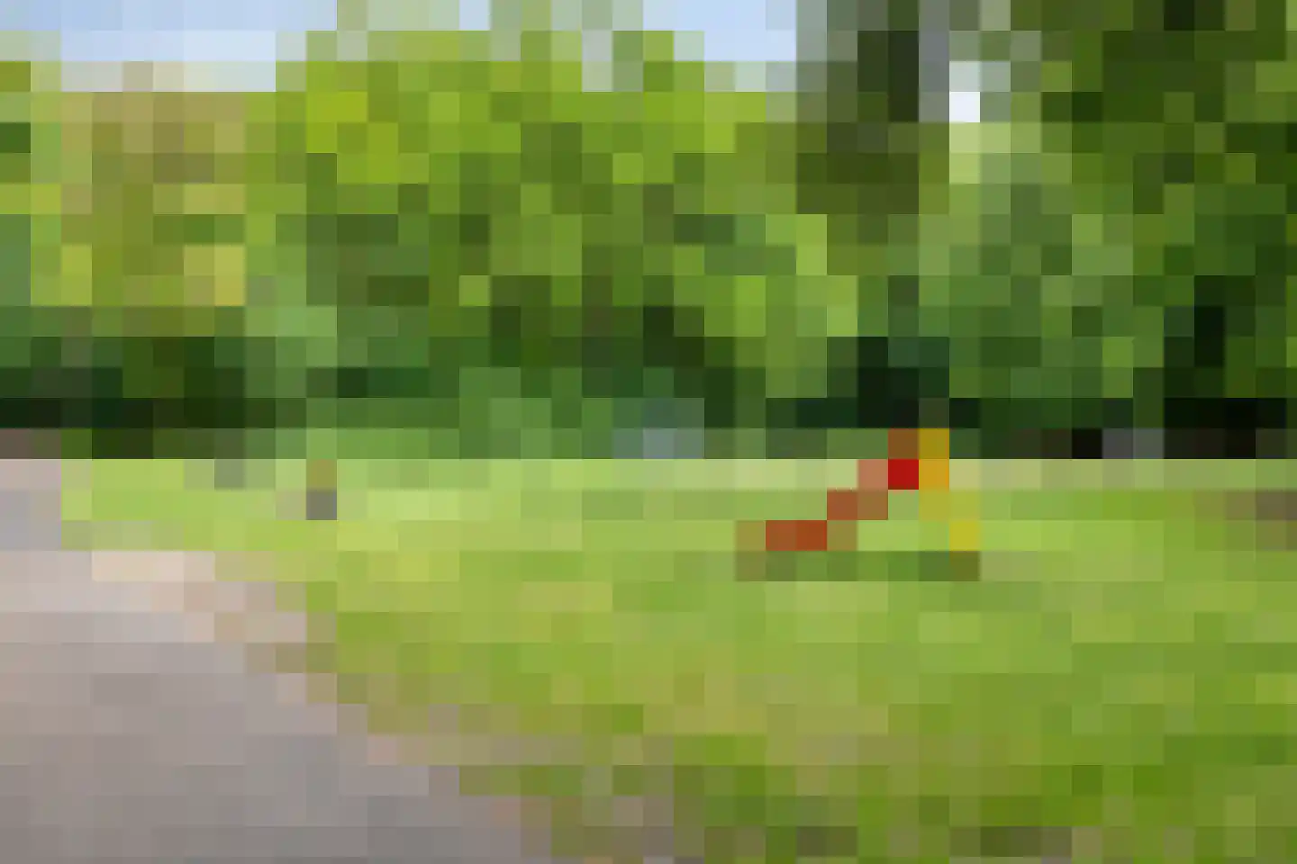 Deken Oomenstraat 7 Dongen thumbnail 25