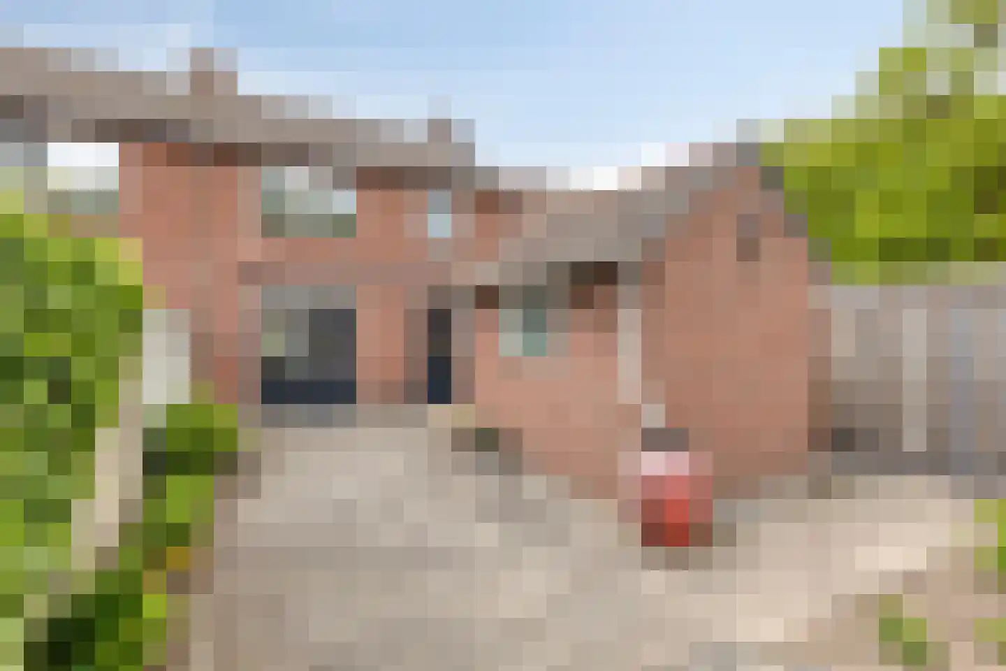 Deken Oomenstraat 7 Dongen thumbnail 6
