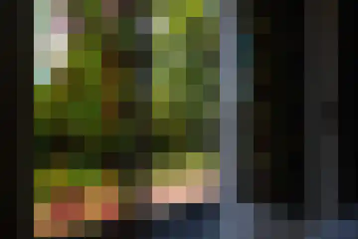 Deken Quodbachlaan 79 Kerkrade thumbnail 20