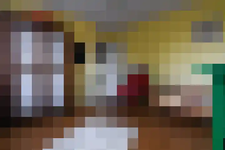 Deken Quodbachlaan 79 Kerkrade thumbnail 22