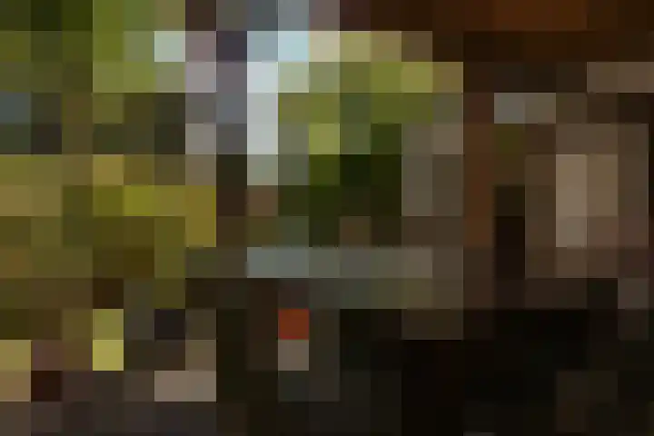Deken Quodbachlaan 79 Kerkrade thumbnail 31