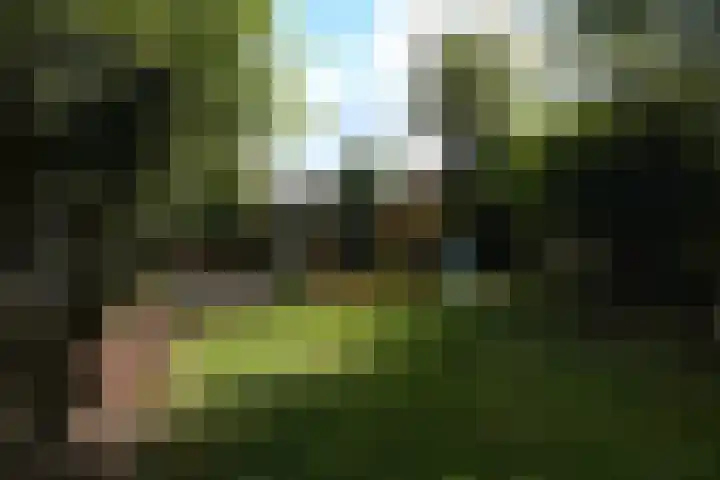 Deken Quodbachlaan 79 Kerkrade thumbnail 32
