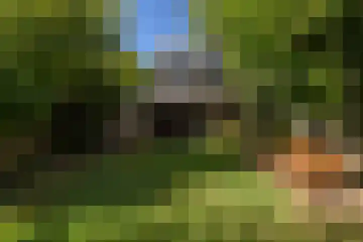Deken Quodbachlaan 79 Kerkrade thumbnail 33
