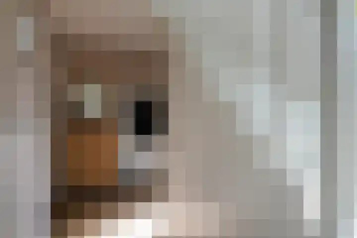 Deken Quodbachlaan 79 Kerkrade thumbnail 4