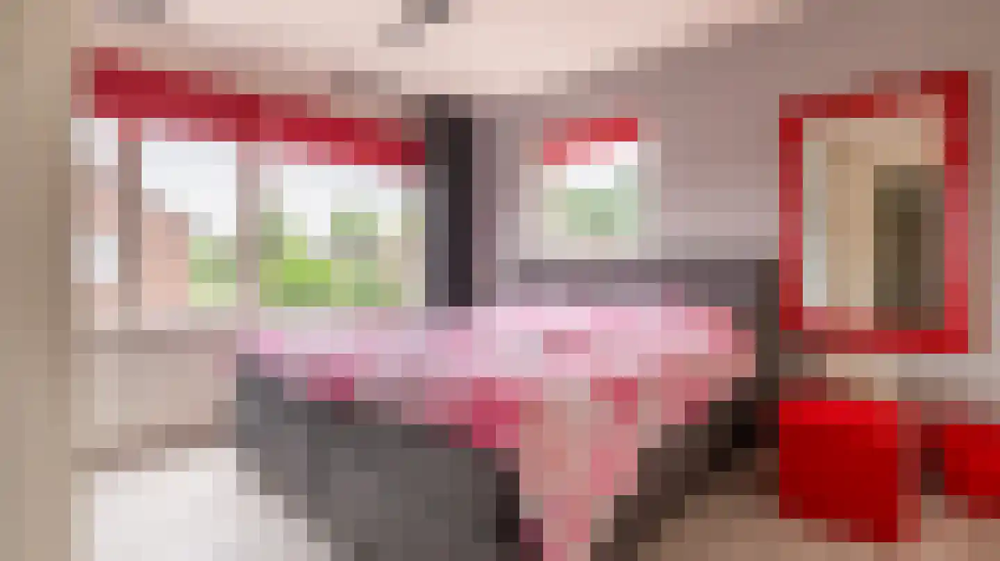 Deken Reijgerslaan 30 Almelo thumbnail 14