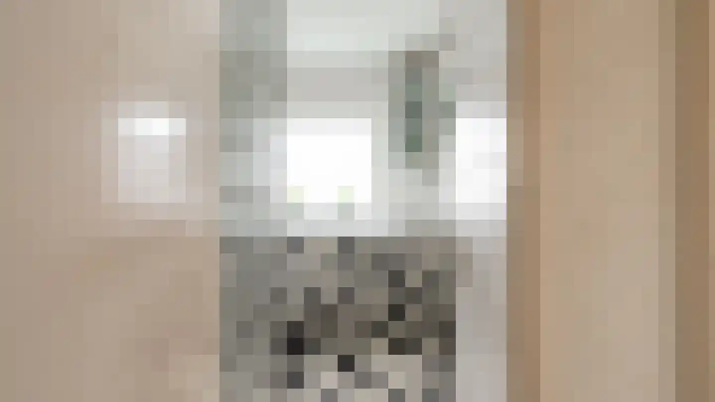 Deken Reijgerslaan 30 Almelo thumbnail 18