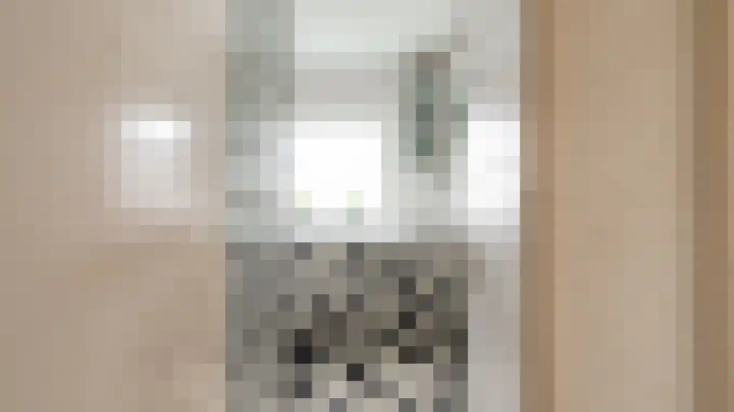 Deken Reijgerslaan 30 Almelo thumbnail 19