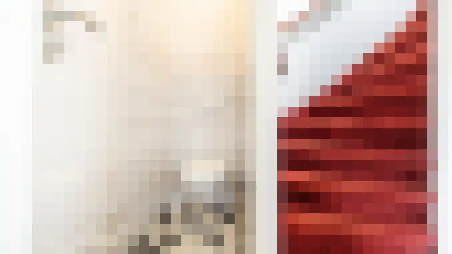 Deken Reijgerslaan 30 Almelo thumbnail 22