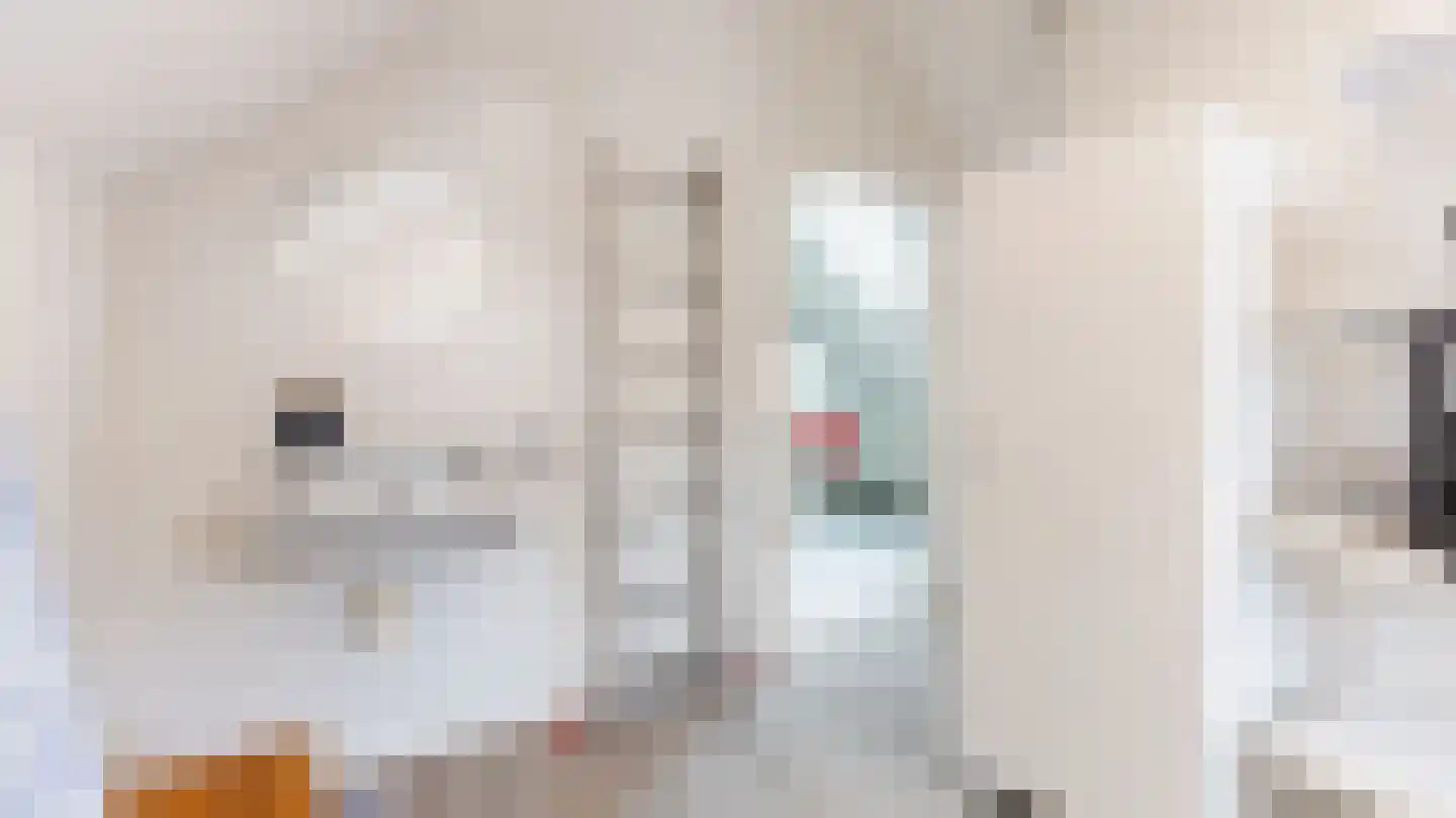 Deken Reijgerslaan 30 Almelo thumbnail 23