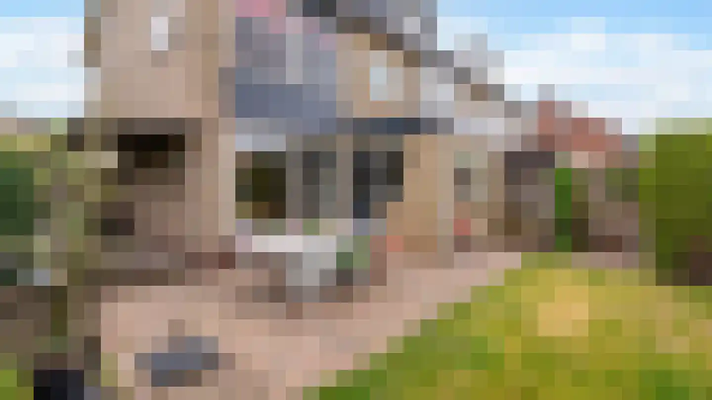Deken Reijgerslaan 30 Almelo thumbnail 30