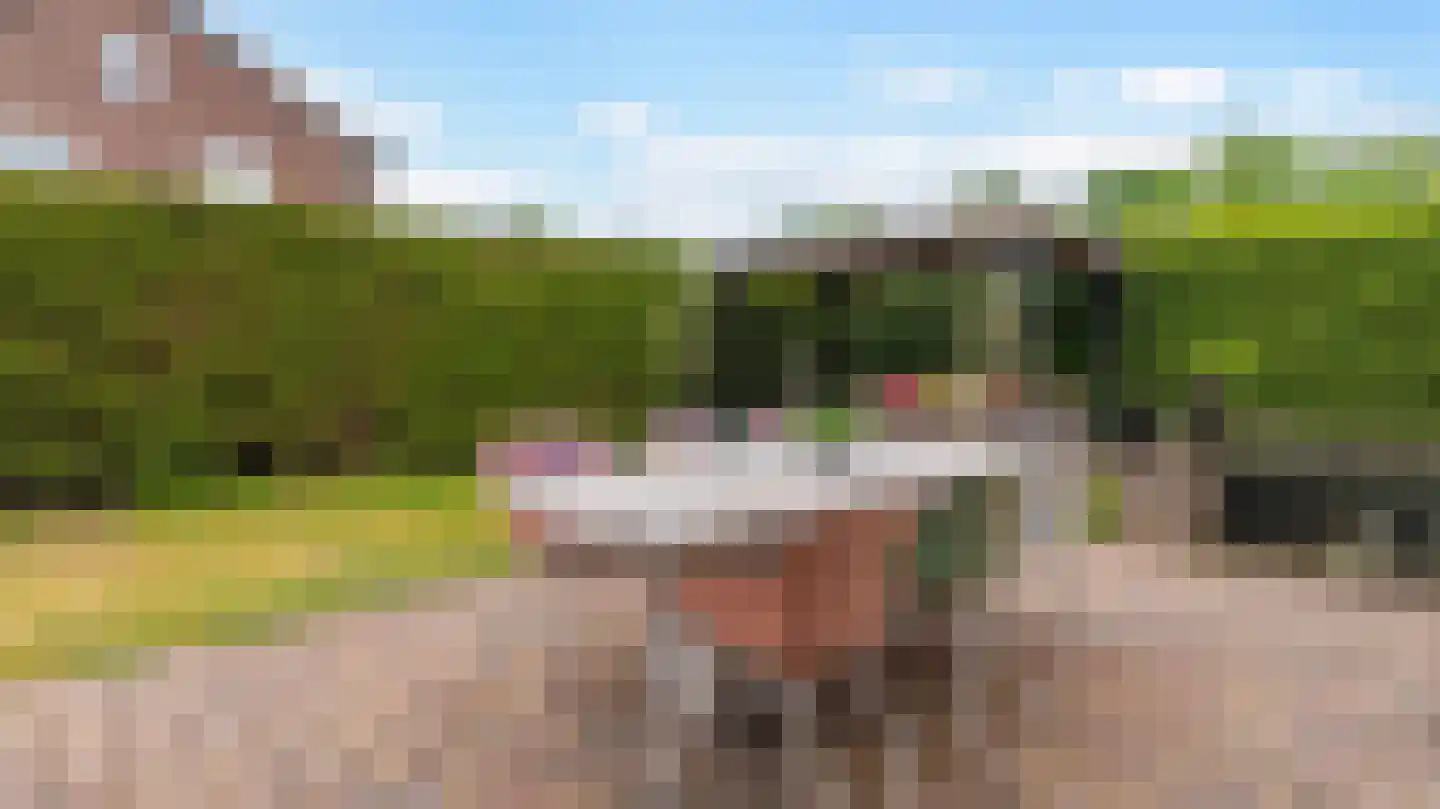 Deken Reijgerslaan 30 Almelo thumbnail 31