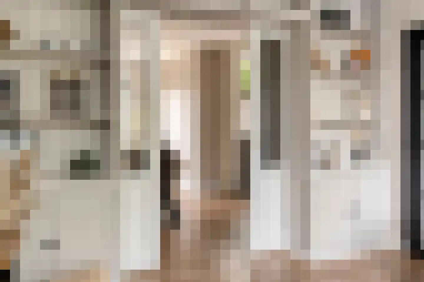 Deken Reijgerslaan 38 Almelo thumbnail 10
