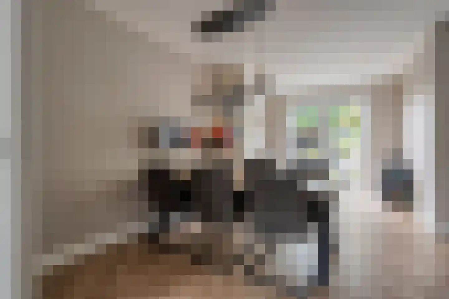 Deken Reijgerslaan 38 Almelo thumbnail 11