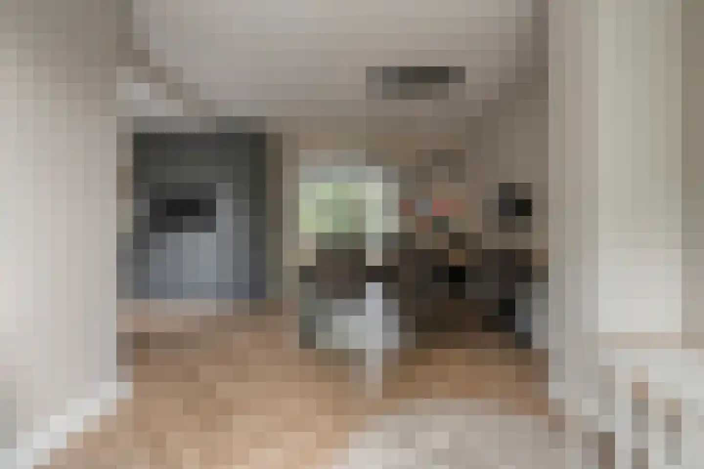 Deken Reijgerslaan 38 Almelo thumbnail 12