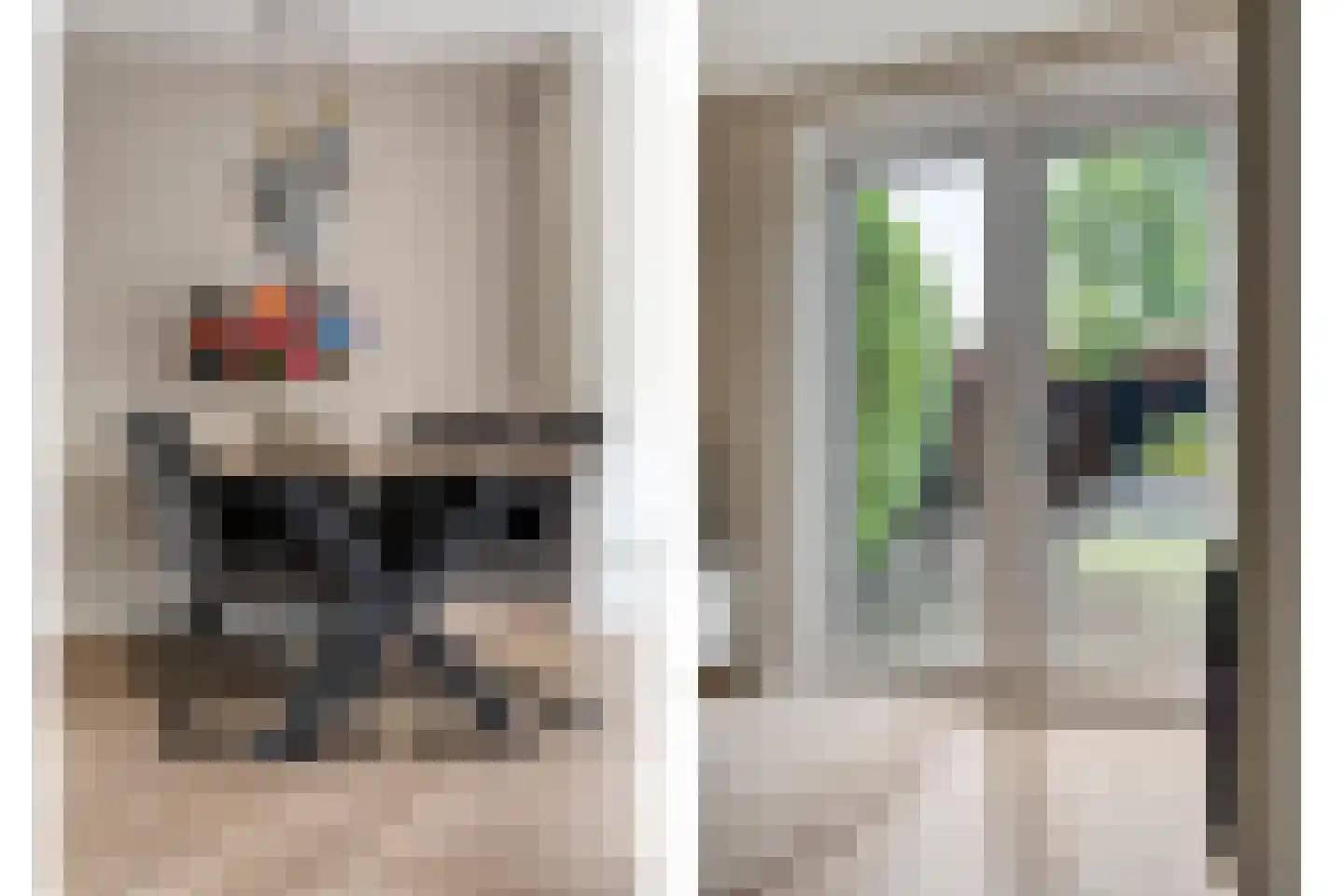 Deken Reijgerslaan 38 Almelo thumbnail 15