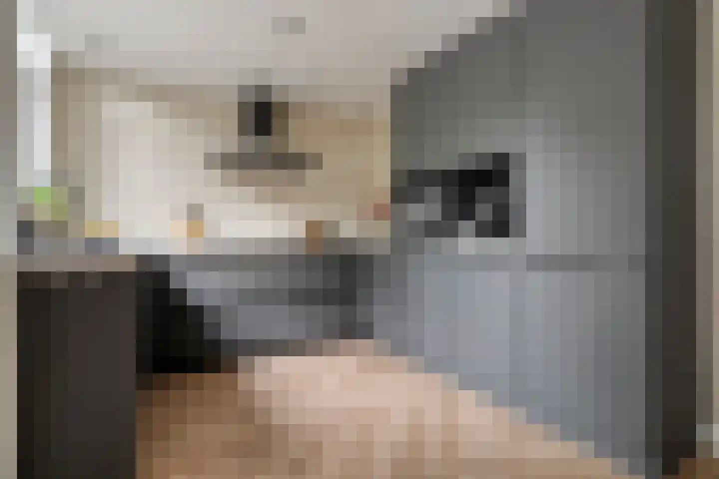 Deken Reijgerslaan 38 Almelo thumbnail 16