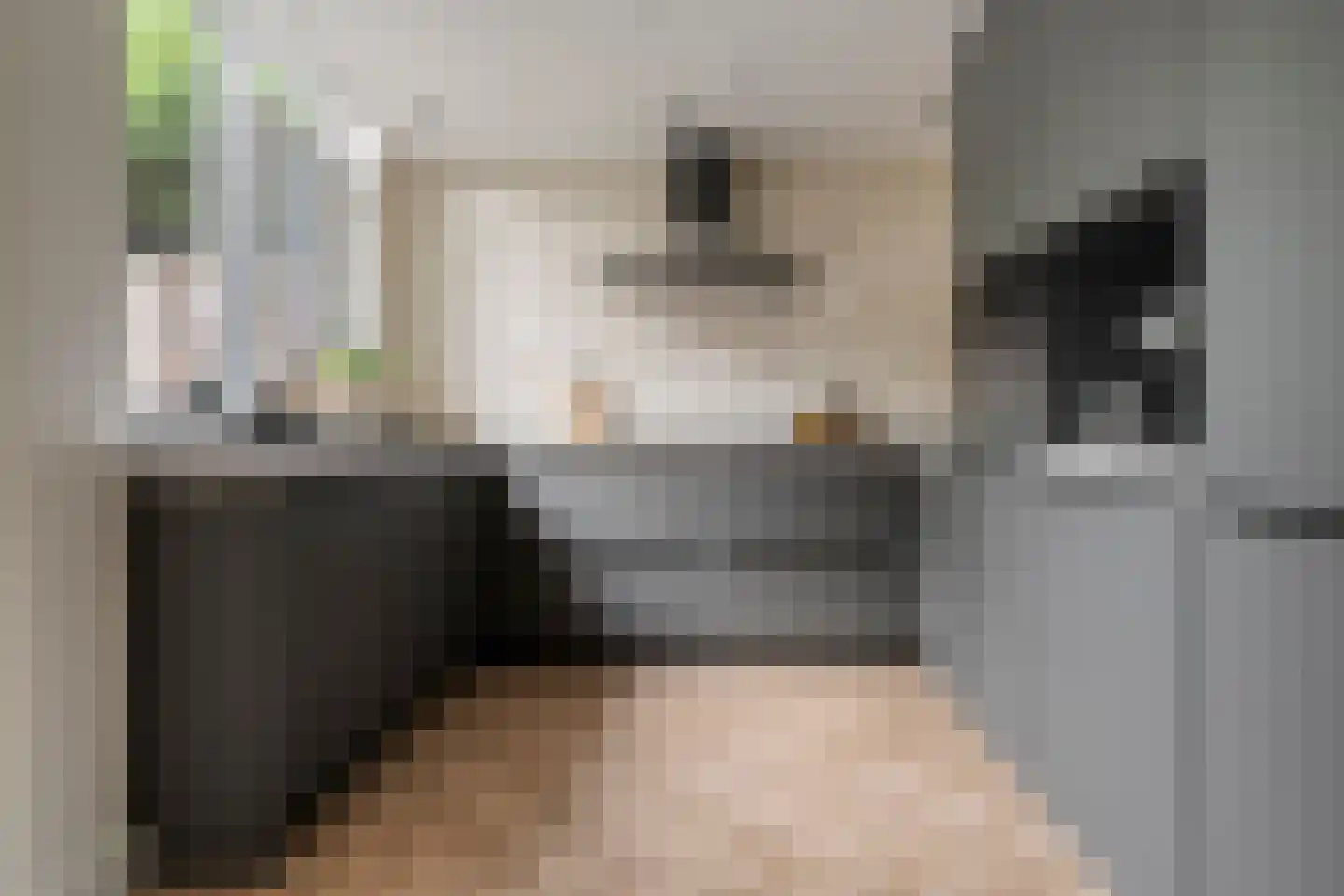 Deken Reijgerslaan 38 Almelo thumbnail 17