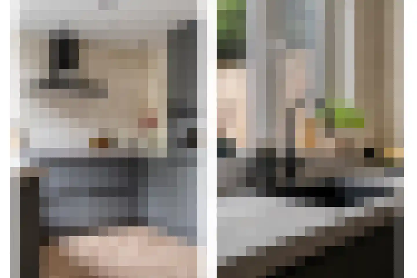 Deken Reijgerslaan 38 Almelo thumbnail 19