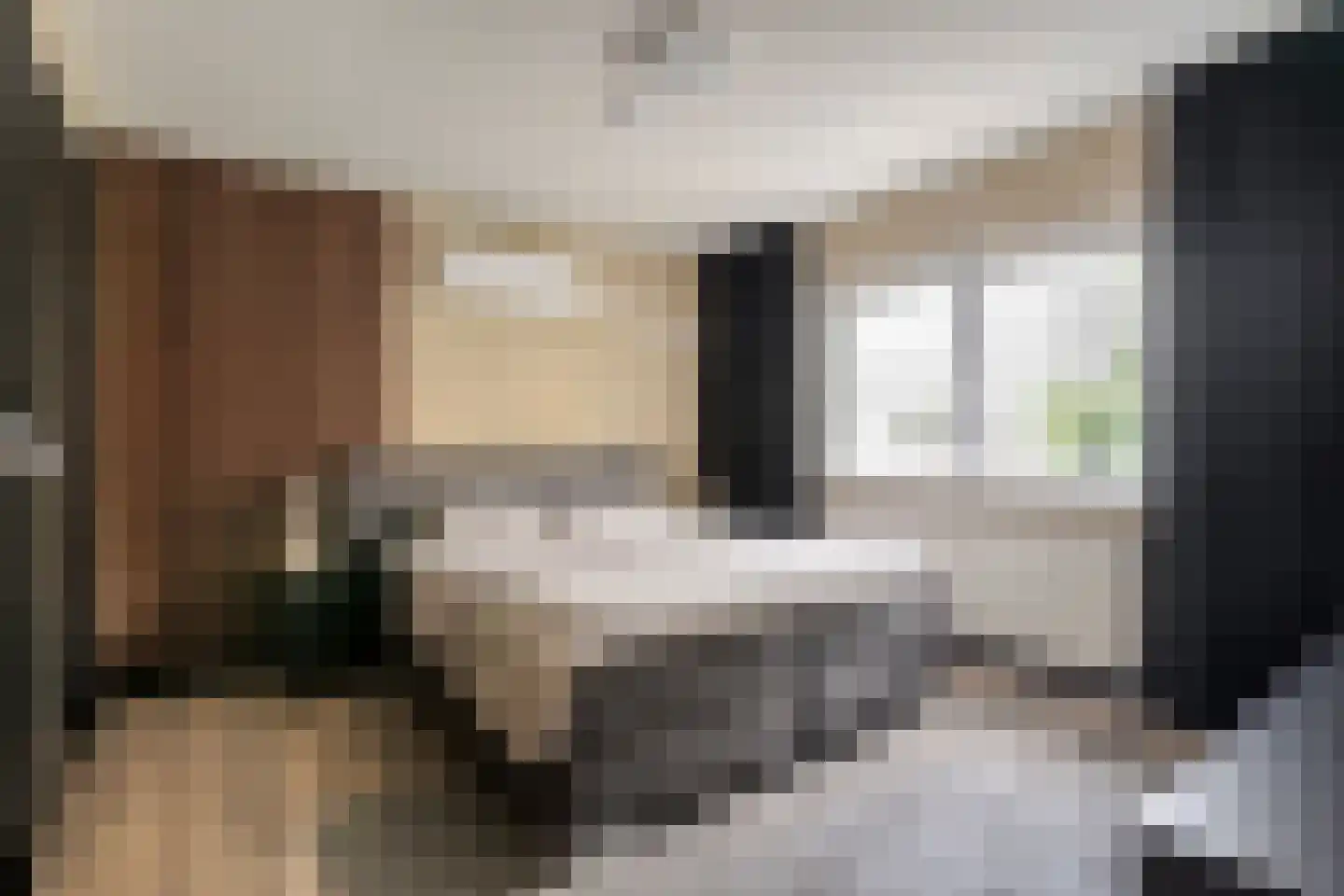 Deken Reijgerslaan 38 Almelo thumbnail 22