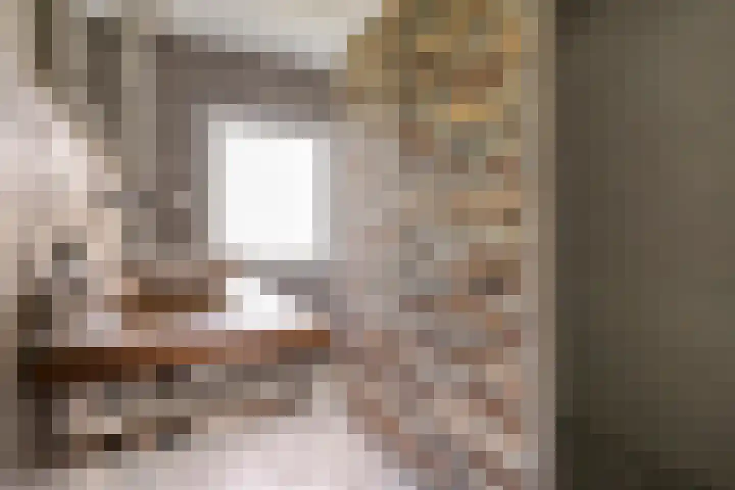 Deken Reijgerslaan 38 Almelo thumbnail 25