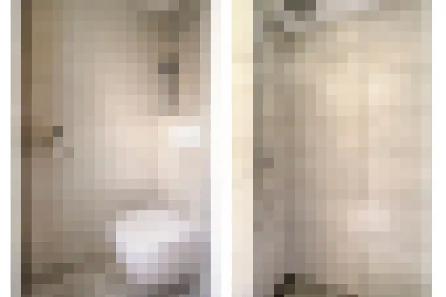 Deken Reijgerslaan 38 Almelo thumbnail 26