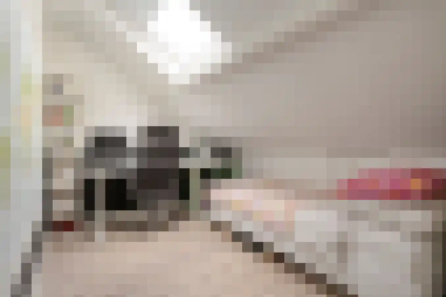 Deken Reijgerslaan 38 Almelo thumbnail 28