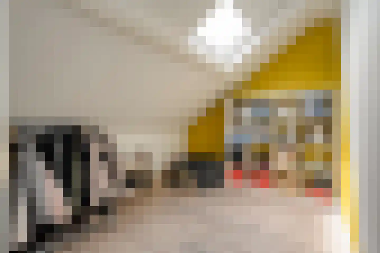 Deken Reijgerslaan 38 Almelo thumbnail 29