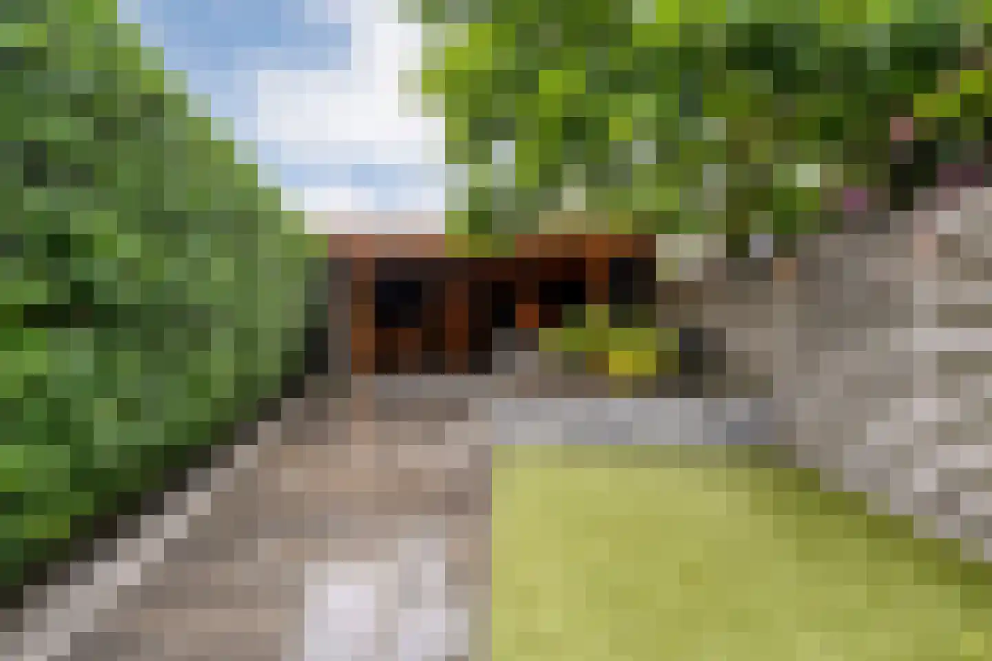 Deken Reijgerslaan 38 Almelo thumbnail 33