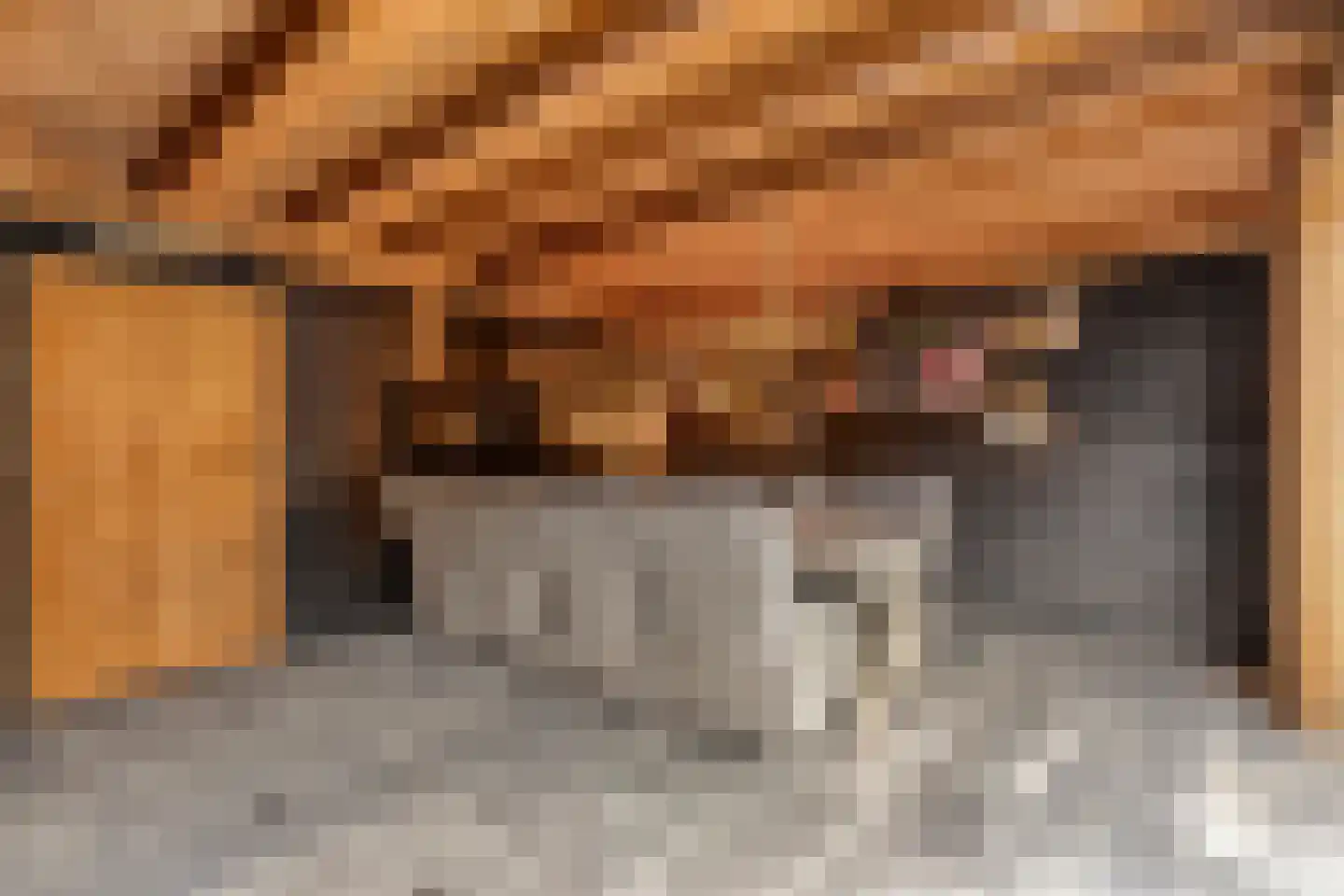 Deken Reijgerslaan 38 Almelo thumbnail 35