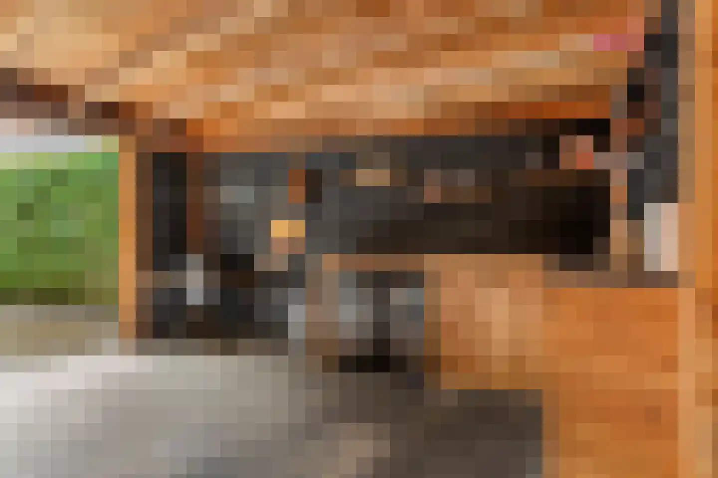Deken Reijgerslaan 38 Almelo thumbnail 36