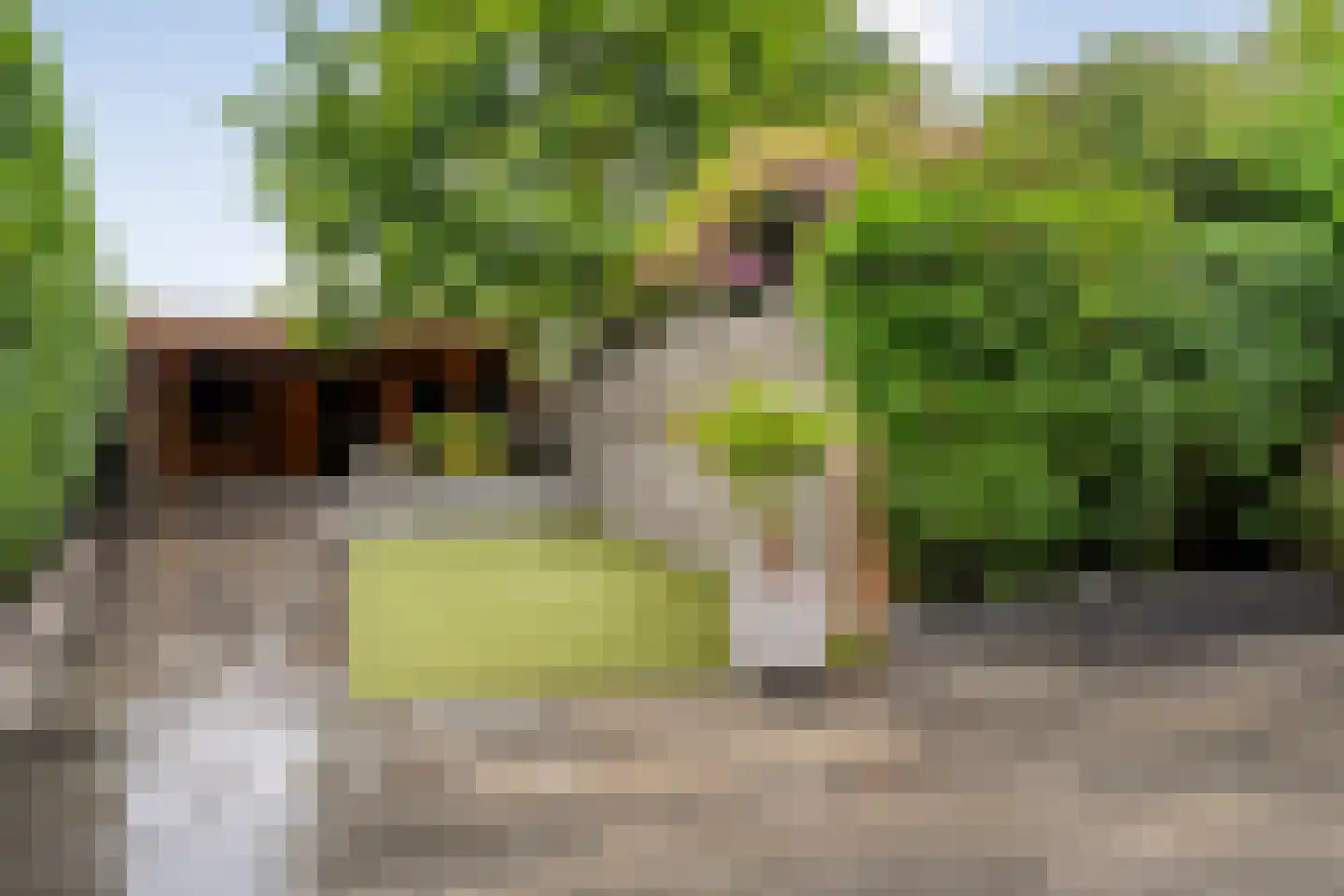 Deken Reijgerslaan 38 Almelo thumbnail 37