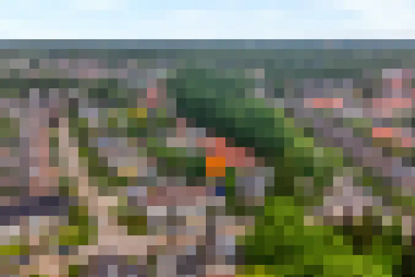 Deken Reijgerslaan 38 Almelo thumbnail 43