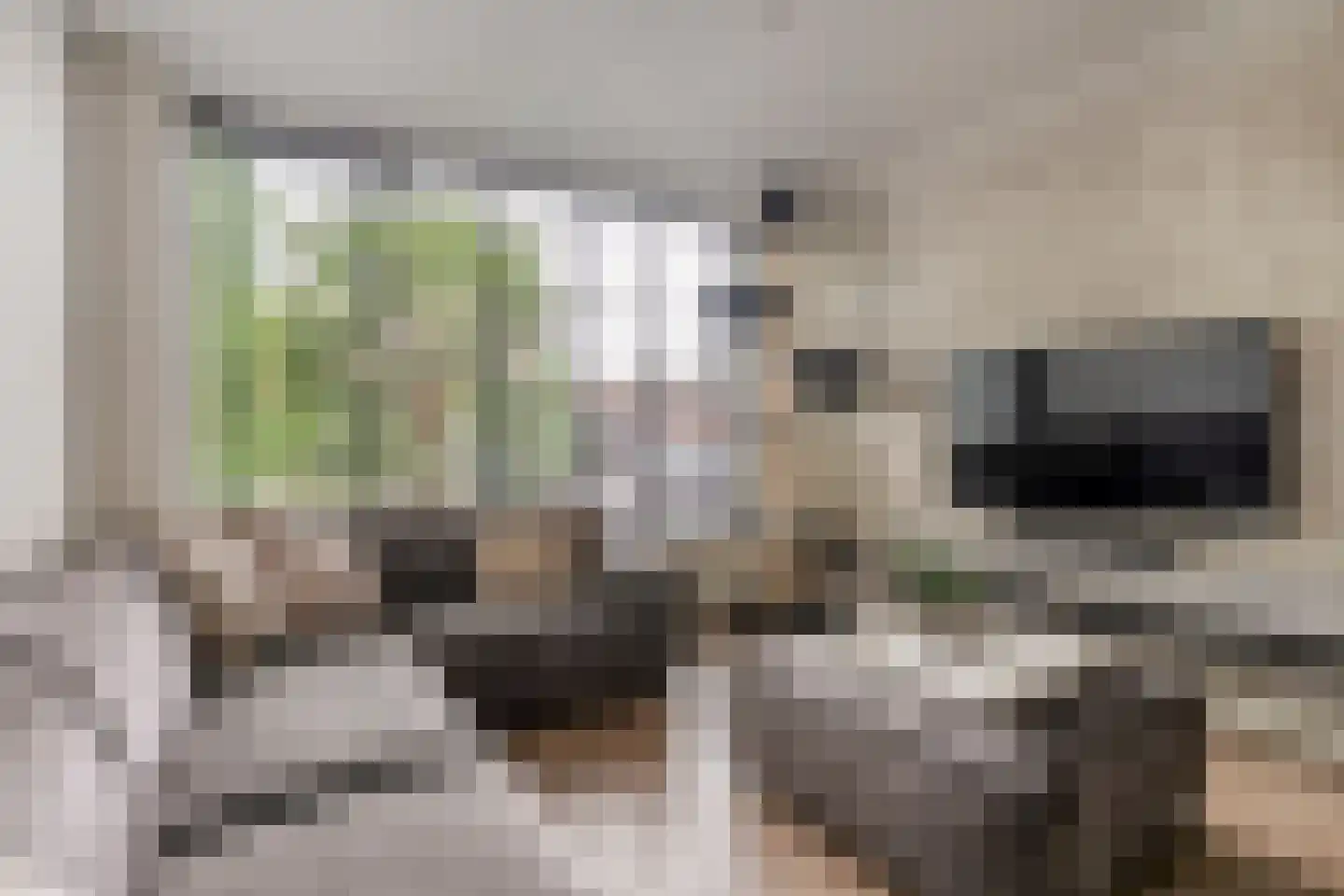 Deken Reijgerslaan 38 Almelo thumbnail 6
