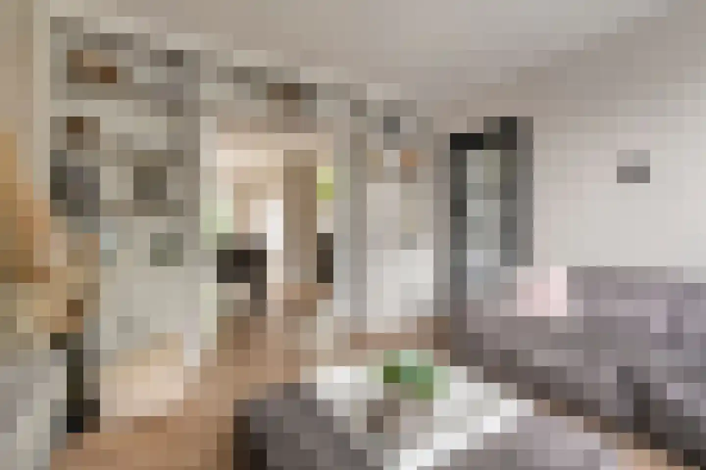 Deken Reijgerslaan 38 Almelo thumbnail 9