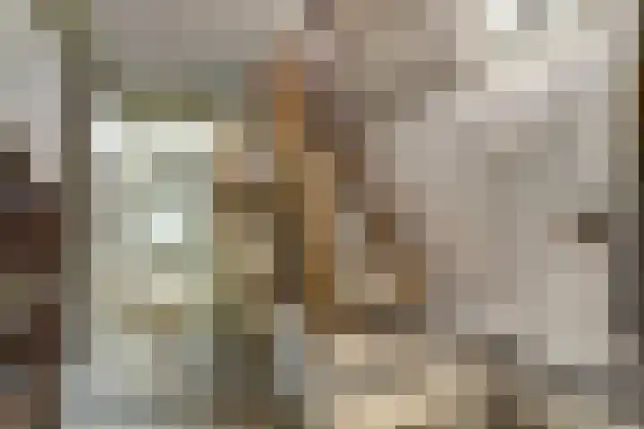 Deken Rhoenstraat 24 Roermond thumbnail 20