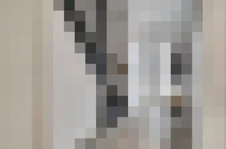 Deken Rhoenstraat 24 Roermond thumbnail 4